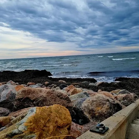 Reihenhaus Mit Wlan In Am Mueritzsee 펜션 *