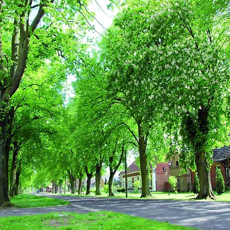 Reihenhaus Mit Wlan In Am Mueritzsee 펜션