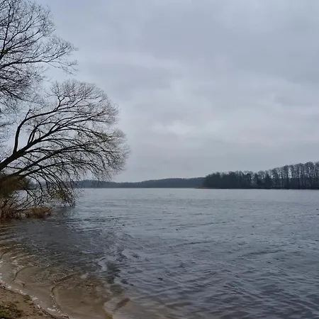 Reihenhaus Mit Wlan In Am Mueritzsee 펜션 Buchholz (Mecklenburg-Vorpommern)