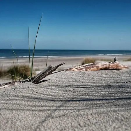 펜션 Reihenhaus Mit Wlan In Am Mueritzsee Buchholz (Mecklenburg-Vorpommern)